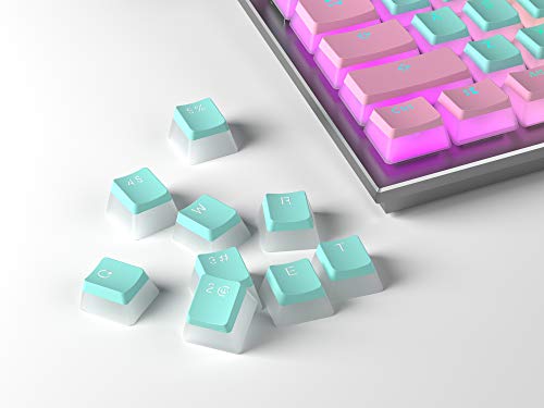 HK Gaming 108 - Juego de 108 Teclas de Doble Disparo PBT Pudding Ansi/ISO - Perfil OEM Pudding Keyset 60% / 87 TKL / 104/108 MX (Miami)