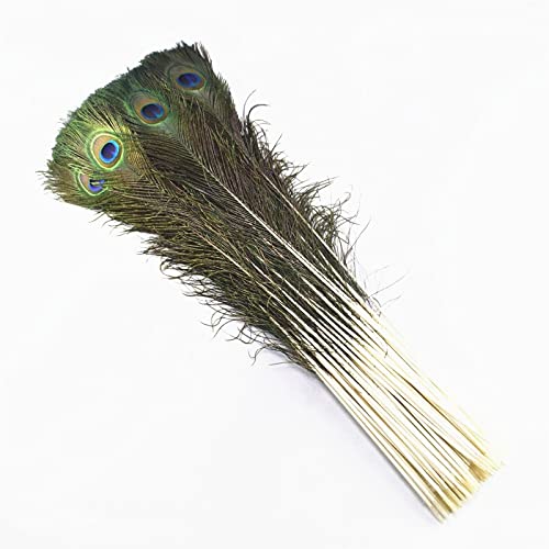 HLH Venta al por Mayor Plumas de Pavo Real 50 unids/Lote Plumas Naturales de Pavo Real for artesanías 25-80cm Pavo Real Natural Limpianas Ojos for Plumas de decoración de Boda (Color : 100-120)