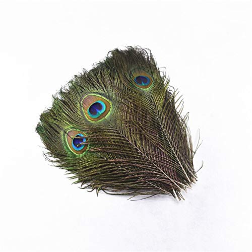 HLH Venta al por Mayor Plumas de Pavo Real 50 unids/Lote Plumas Naturales de Pavo Real for artesanías 25-80cm Pavo Real Natural Limpianas Ojos for Plumas de decoración de Boda (Color : 100-120)