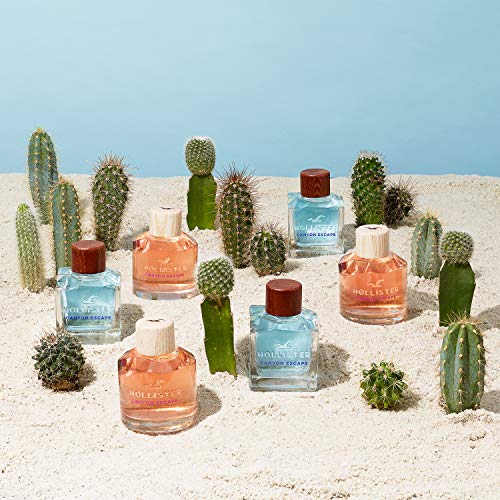 HOLLISTER CANYON ESCAPE HIM ET 100 V