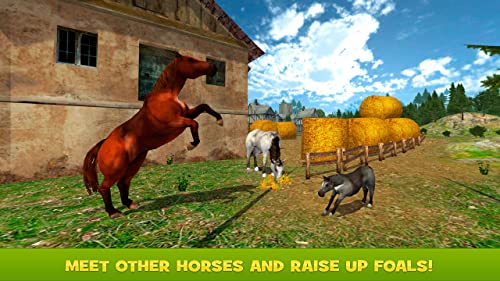 Horse Survival Simulator 2017