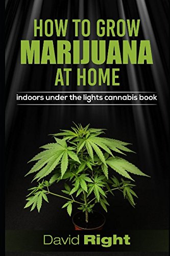 HOW TO GROW MARIJUANA AT HOME indoors under the lights cannabis book