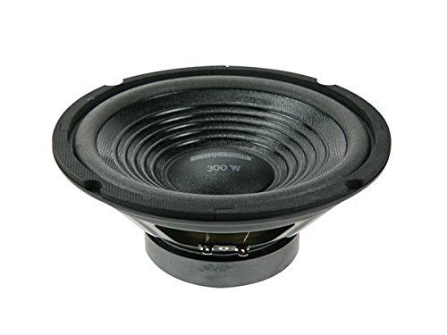 HQ Power VDSG12/SPB - Subwoofer componente de 300W, negro