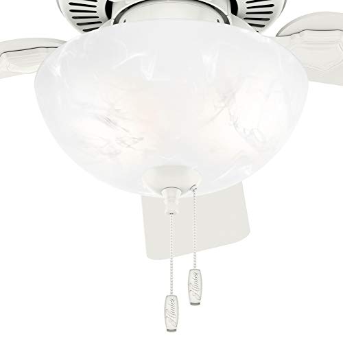 Hunter Fan Company 50905 Hunter Ventilador de techo Swanson de 44 pulgadas con luz de cuenco LED, color blanco fresco