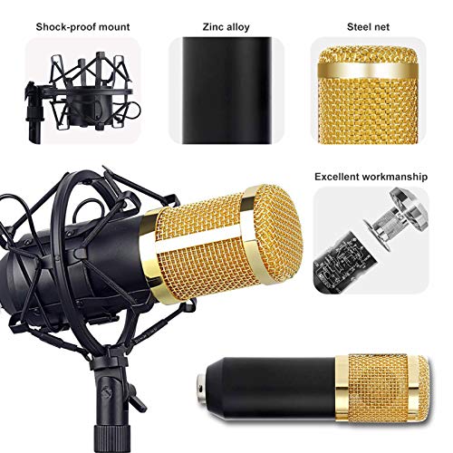 HyAdierTech Micrófono de Condensador, Micrófono de Condensador con Conector de Audio de 3.5 mm, con Soporte de Brazo de Tijera, Montaje de Choque, Filtro de Pop, para grabación, podcasting, Youtube.