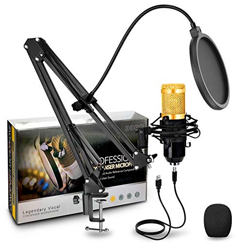 HyAdierTech Micrófono de Condensador, Micrófono de Condensador con Conector de Audio de 3.5 mm, con Soporte de Brazo de Tijera, Montaje de Choque, Filtro de Pop, para grabación, podcasting, Youtube.