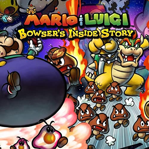 In the Final (Mario and Luigi Bowser's Inside Story)