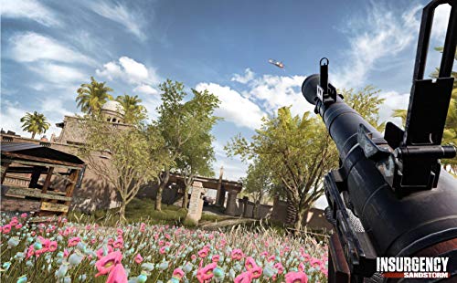 Insurgency Sandstorm - PS4