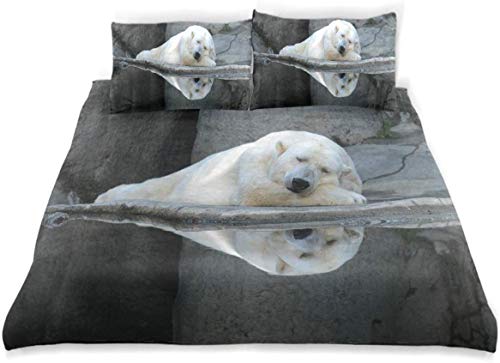 Juego de Funda nórdica Bear Sleeping Calm Zoo Animal Print Juego de Cama Decorativo de 3 Piezas con 2 Fundas de Almohada Fácil Cuidado Anti-alérgico Suave Suave