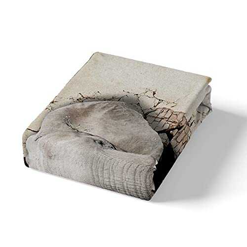 Juego de Funda nórdica para niños Juego de Ropa de Cama de Elefante para niños Juego de edredón 3D Safari Wildlife Funda de Colcha de Animales Salvajes africanos Funda de edredón personaliz