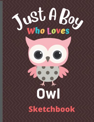 Just A Boy Who Loves Owl Sketchbook: Cute Owl Sketchbook for Boy Drawing Doodling and Creativity Writing ... Blank Owl Sketchbook & Sketch Pad ... (Sketching Draw for Boy)-vol-2