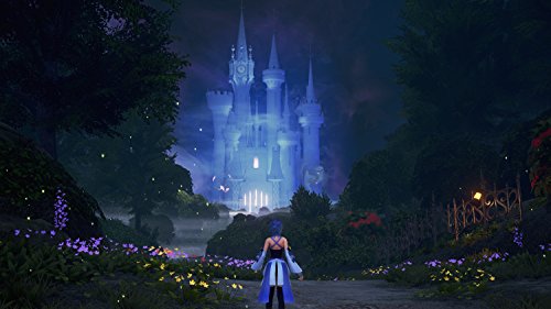Kingdom Hearts HD 2.8 Final Chapter Prologue [Importación Alemana]