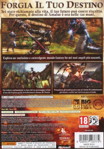 Kingdoms of Amalur: Reckoning [Importación italiana]