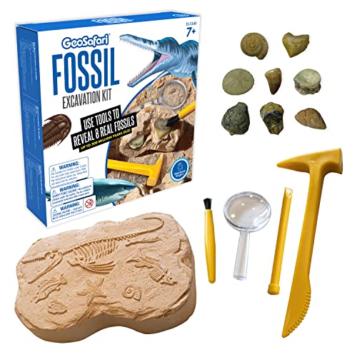 Kit de excavación con fósiles GeoSafari de Learning Resources