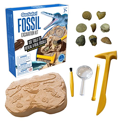Kit de excavación con fósiles GeoSafari de Learning Resources