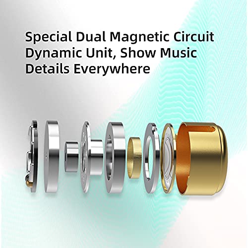 KZ EDX PRO - Auriculares in-ear para monitor (10 mm, Dual Magnetic Dynamic Driver, KZ Earbuds 1DD con funda de resina, para juego de regalo de audio, no micrófono ni claro)