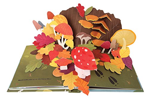 Leaves. An Autumn Pop Up Books (4 Seasons of Pop-Up)