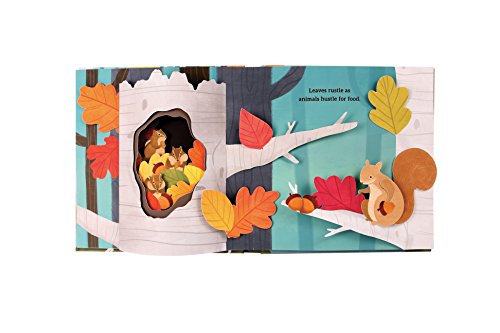 Leaves. An Autumn Pop Up Books (4 Seasons of Pop-Up)