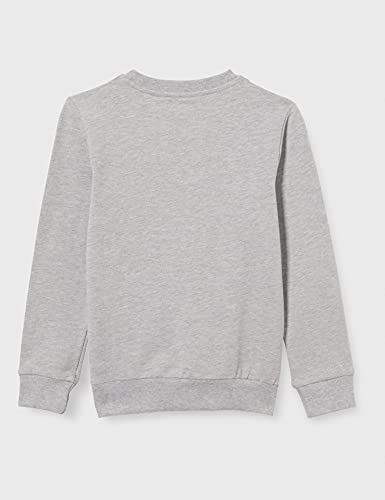 LEGO Ninjago Sweatshirt Sudadera, 912, 34 W/34 L para Niños