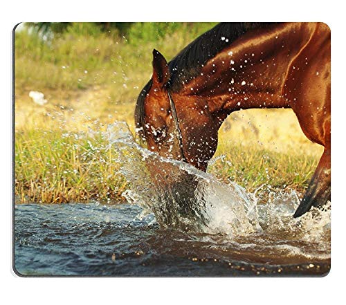 Lindos Tapetes De Ratón Indio Increíble Caballos Corriendo Prance en Verde Pastizal Tapete de Juego Alfombrilla de ratón Alfombrilla de ratón PM1404