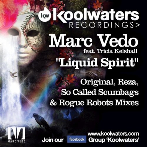 Liquid Spirit (Rogue Robots Remix)