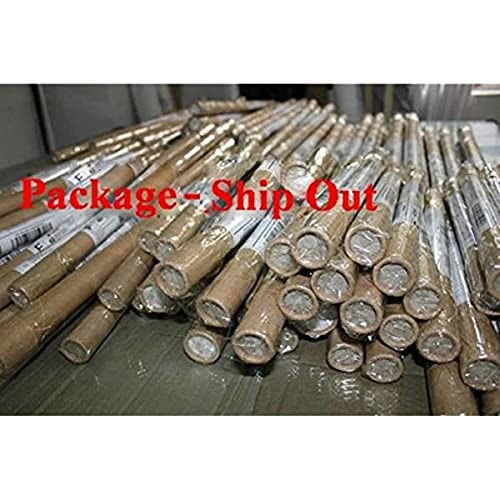 LizaCheng Call Of Duty Black Ops 3 Zombies Chronicles Game Art Print Tamaño 13x20 24x36 32x48 24quotx36quot 60x60cm Framed