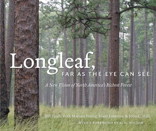 Longleaf, Far as the Eye Can See: A New Vision of North America's Richest Forest (English Edition)
