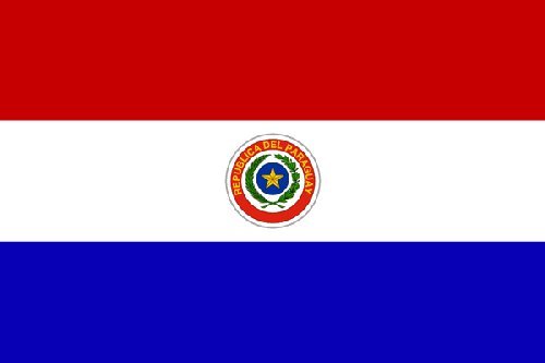 Lote 2 ud - Pegatina vinilo impreso para coche, pared, puerta, nevera, carpeta, etc. Bandera de paraguay