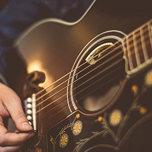 L.R. Baggs Anthem - Pastilla acústica con micrófono