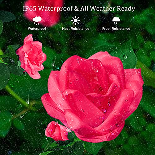 Luces Solares de Jardín, ZQX 2 PC Luz de Estaca Rosa Solar lámpara con 6 Flores Luz Solar Decorativa a Prueba de Lluvia IP65 al Aire Libre para Navidades, Festivales, Patio, Césped, Boda (Rosa)