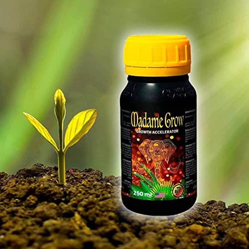 MADAME GROW - Fertilizante orgánico - Acelerador de Crecimiento y floración - Growth Accelerator - (500 mL)