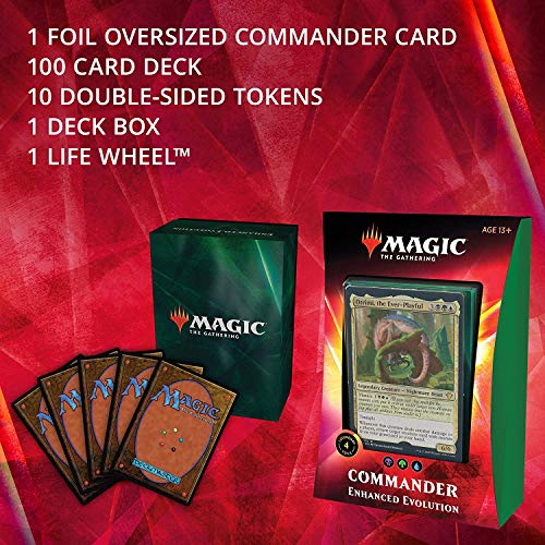 Magic The Gathering- Deck Commander Evolución intensificada (Wizards of The Coast C75801010)