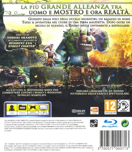 Majin and The Forsaken Kingdom [Importación italiana]