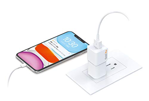 MAKTAR Qubii Pro - Disco de copia de seguridad para iPhone y iPad, con certificado MFi, almacenamiento externo con aplicación organizador de archivos (tarjeta microSD no incluida), color blanco