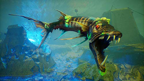 Maneater for Xbox One [USA]