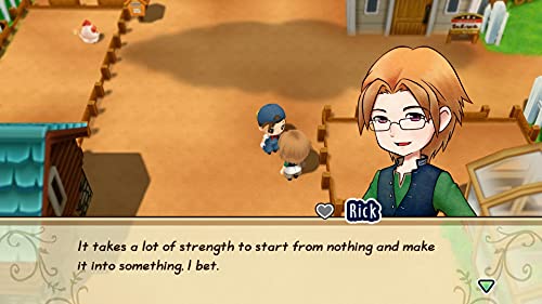 MARVELOUS Story of Seasons: Friends of Mineral Town