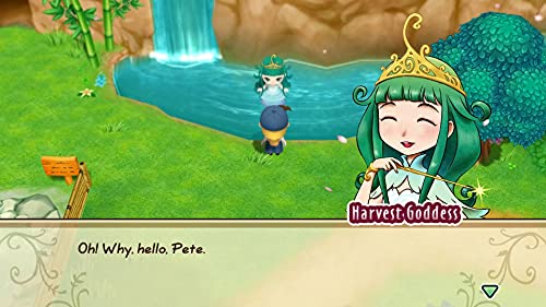 MARVELOUS Story of Seasons: Friends of Mineral Town