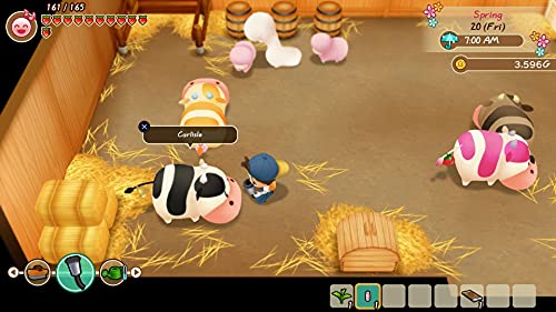 MARVELOUS Story of Seasons: Friends of Mineral Town