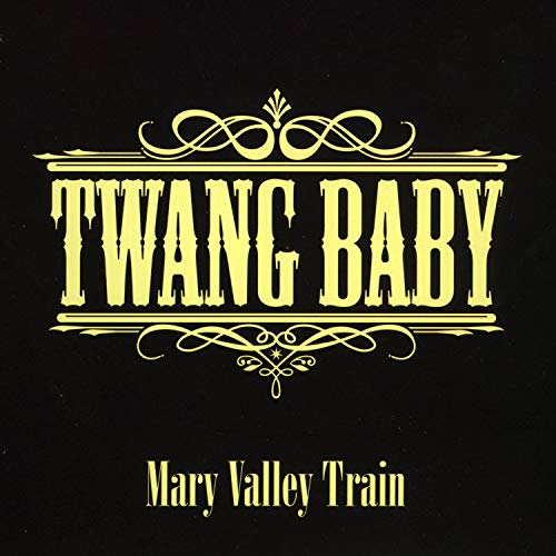 Mary Valley Train