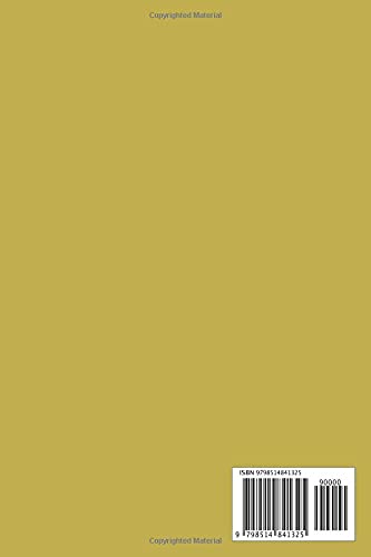 Mastering Minecraft Dungeons: A Step-By-Step Guide And Information For You To Control The Game: List Of Minecraft Dungeons Weapon And Armor Types And Locations