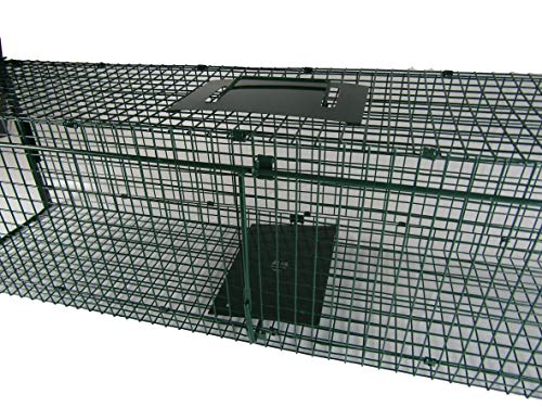 MaxxGarden Trampa de Captura Infaillible – Plegable – Jaula – para pequeños Animales: Conejos, Ratas, roedores – 60 x 18 x 20 cm – con Dos entradas / Wrong brandname: MaxxGarden