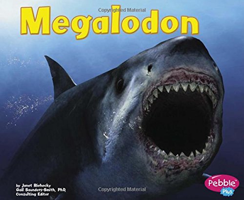 MEGALODON (Dinosaurs and Prehistoric Animals)