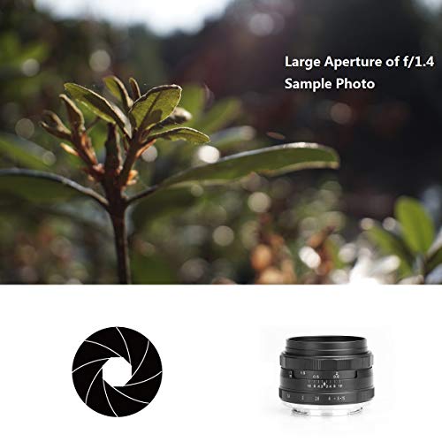 MEIKE MK-35mm F/1.4 Manual Focus Large Aperture Lens Compatible with Fujifilm Mirrorless Camera Such as X-T1 X-T2