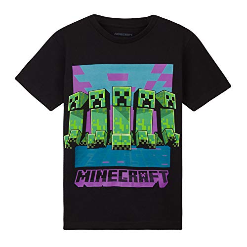 Minecraft Camiseta Niño, Ropa Niño Algodon 100%, Camisetas para Gamers en Negro y Gris, Regalos para Niños y Adolescentes Edad 4-15 Años (11-12 años, Negro)