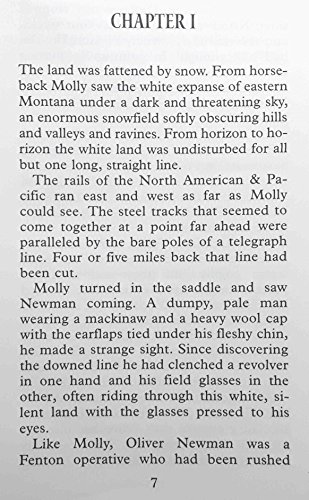 Molly and the Railroad Tycoon (Thorndike Press Large Print Western Series)