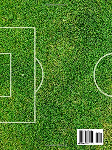 Monthly planner 2022-2024: 3 Years: At a Glance 36 Months Monthly Large Schedule Organizer & Agenda with password reminder/Notes/Goals & Checklists | beautiful soccer field cover design planner