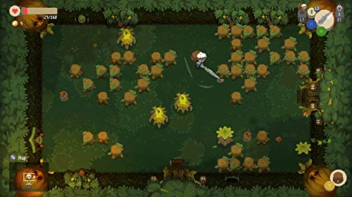 Moonlighter - Signature Edition