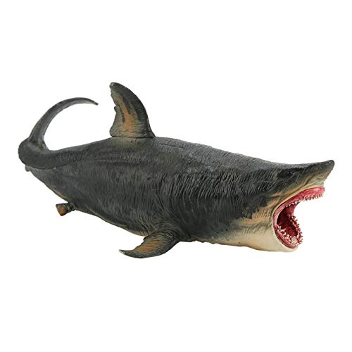 Mothinessto Juguete Grande De Megalodon, Tiburón De Simulación Bellamente Modelo 3D De Tiburón Tigre Realista para Adorno De Decoración De Accesorios para El Hogar