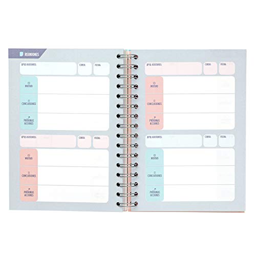 Mr. Wonderful Planificador para profes - Lo estás haciendo de 10, Multicolor, 0