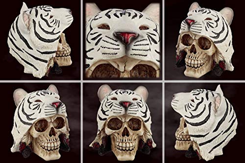 mtb more Energy - Calavera decorativa con diseño de tigre blanco (altura de 14 cm)